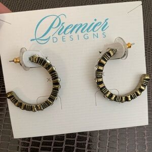 Premier Designs earrings